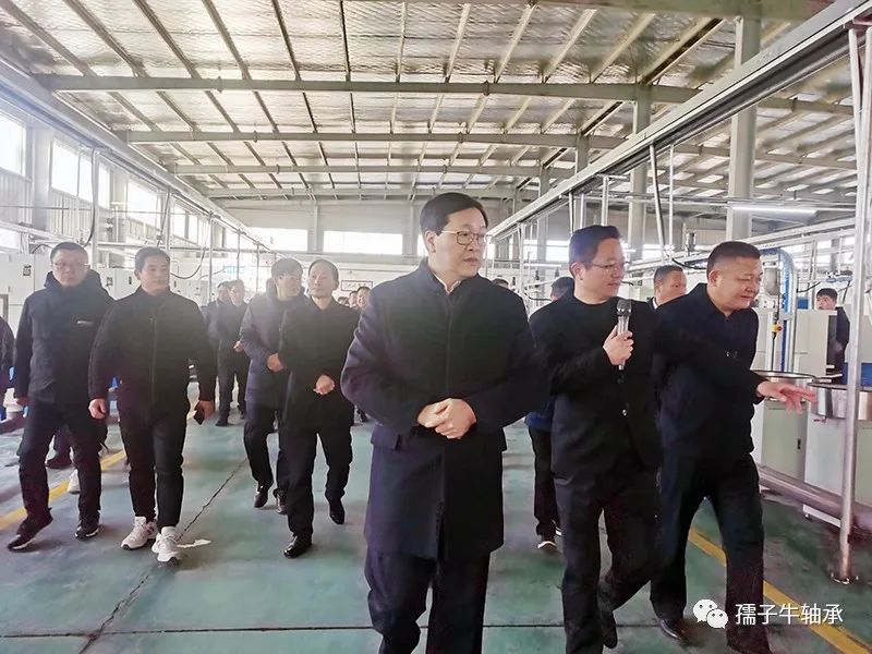 【開(kāi)工大吉】市委書(shū)記梅耐雪、市長(zhǎng)王國(guó)林率全市領(lǐng)導(dǎo)干部蒞臨考察(圖2)